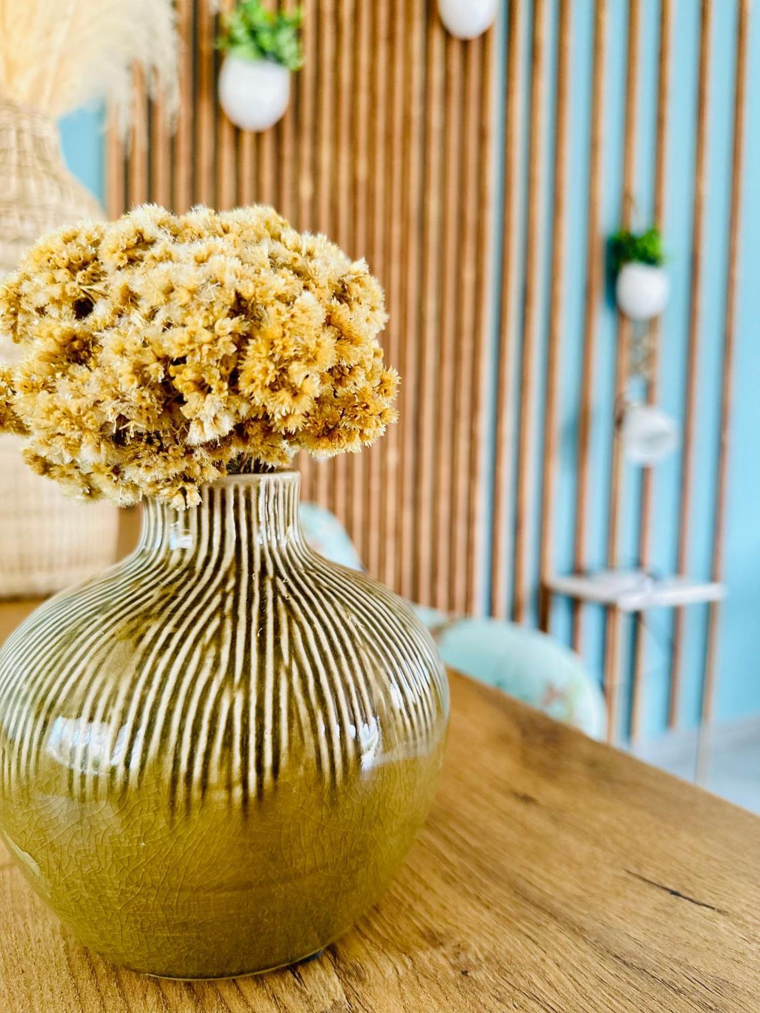 Apartment T2 « boheme » Avec Spa… Calenzana